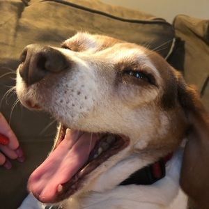 Meet your Posher, Natalie